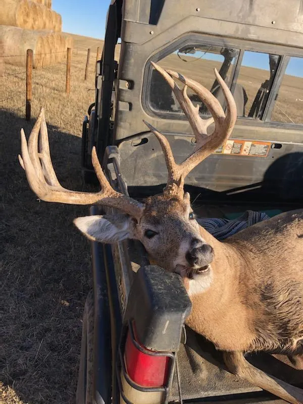 Bad River Bucks and Birds - Any Deer Archery Hunt (4day, 5night, All-inclusive)
