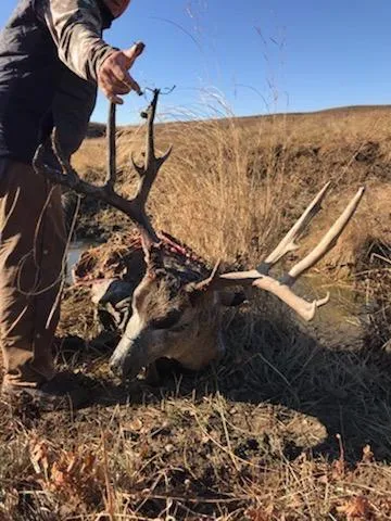 Bad River Bucks and Birds - Any Deer Archery Hunt (4day, 5night, All-inclusive)