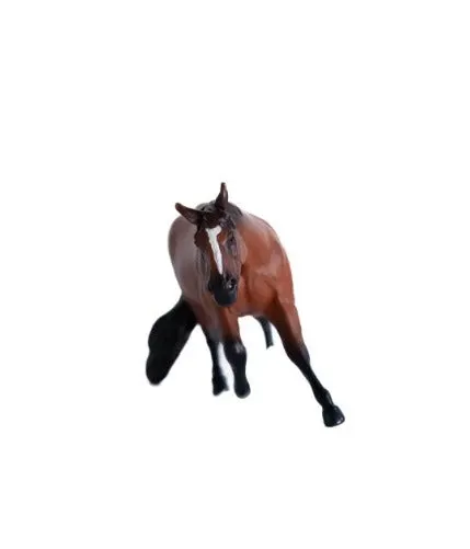 Barrel Horse Bay Gelding