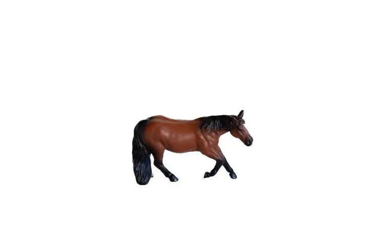 Barrel Horse Bay Gelding