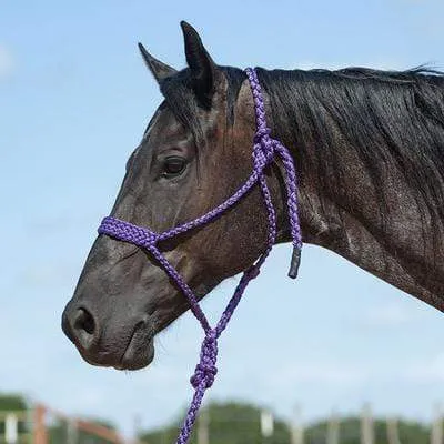 Cashel Braided Mule Halter