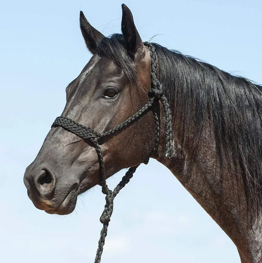Cashel Braided Mule Halter