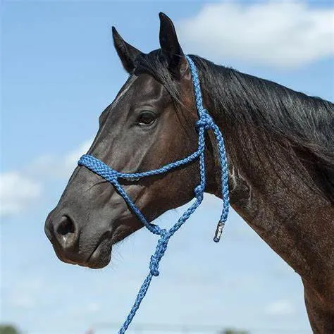 Cashel Braided Mule Halter