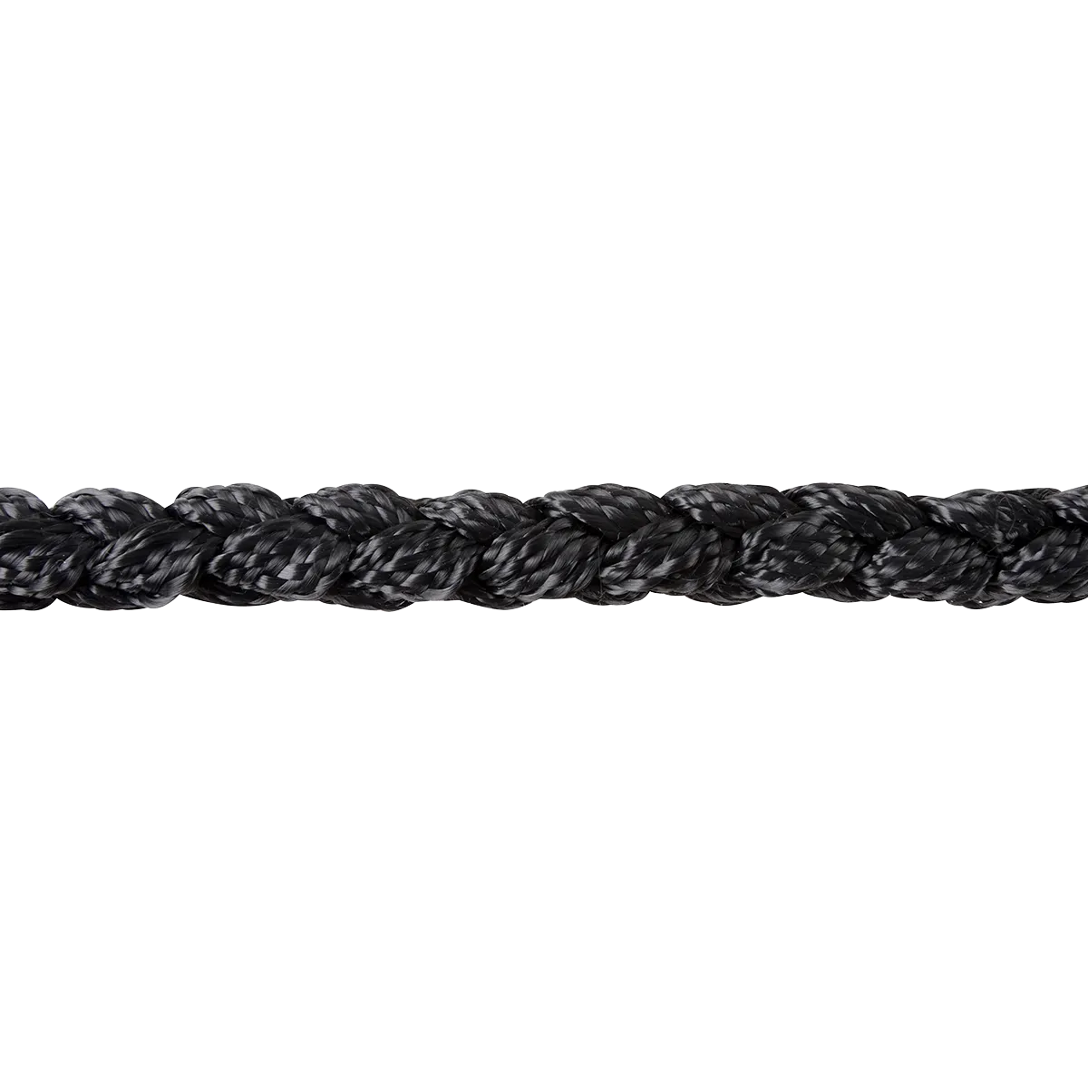 Martin Mule Tape Braided Rope Halter With Lead