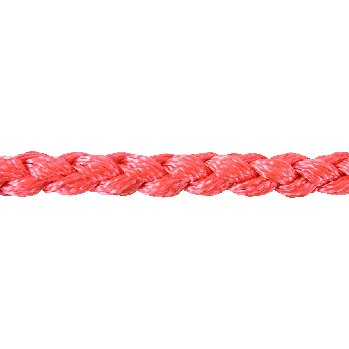 Martin Mule Tape Braided Rope Halter With Lead