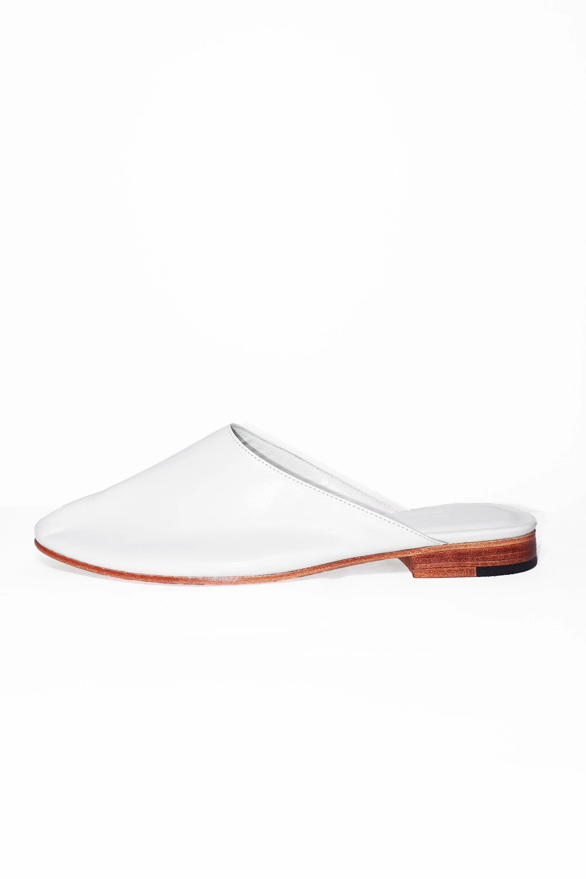 Mule in White