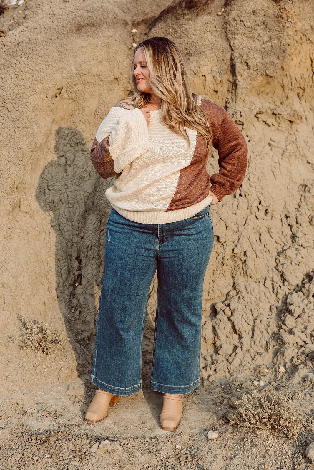 Nikki Long Sleeve Colorblock Sweater Curvy