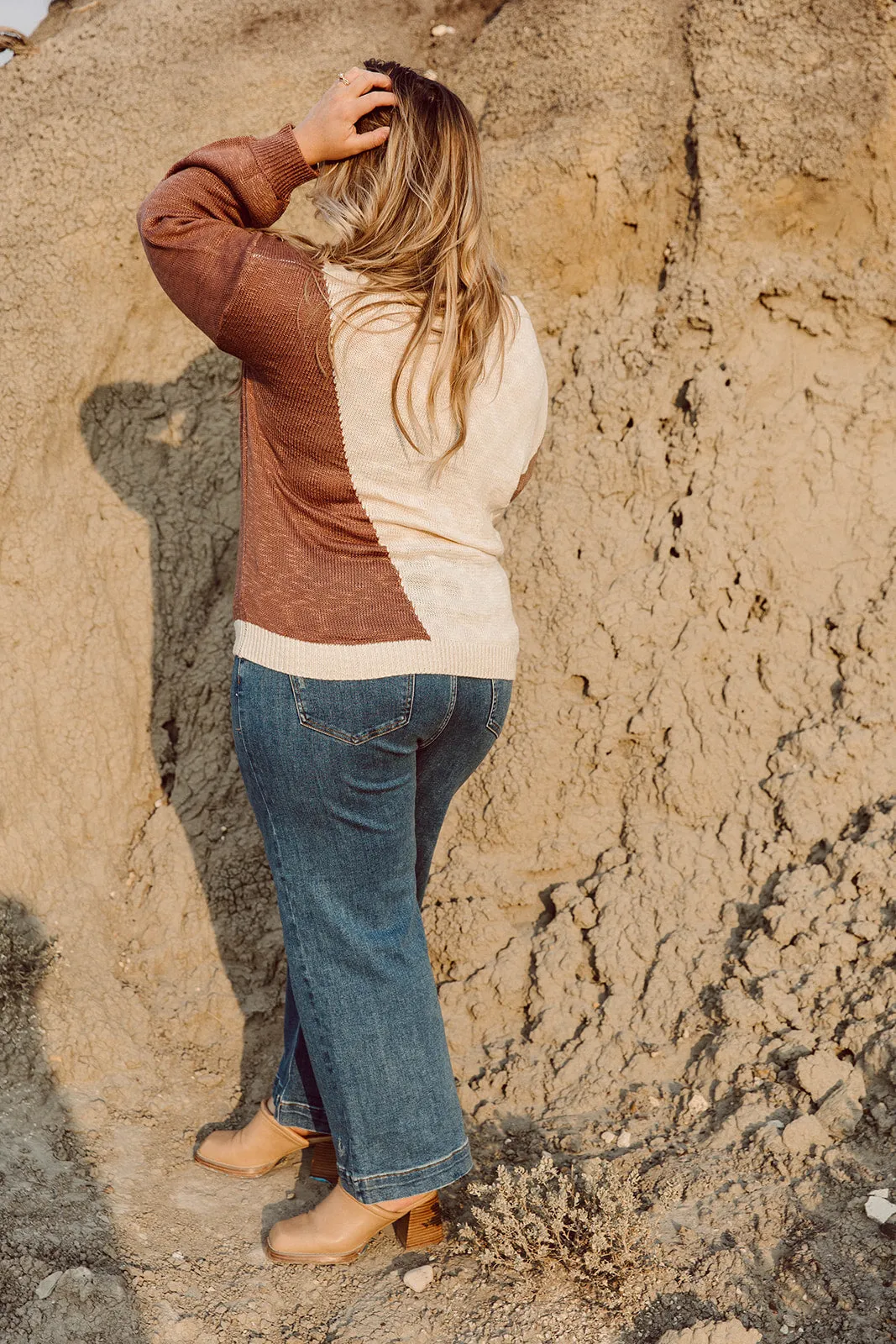 Nikki Long Sleeve Colorblock Sweater Curvy