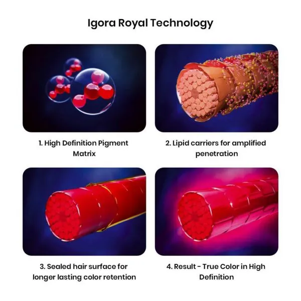 Schwarzkopf professional igora royal 5-0 60ml