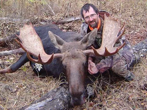 South Peace Outfitters - Guided Rut Moose Hunt