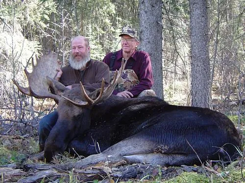 South Peace Outfitters - Guided Rut Moose Hunt
