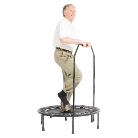 Standard Rebounder