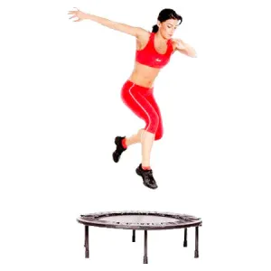 Standard Rebounder