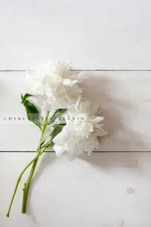 White Peonies on Wood Background 2. Digital Image