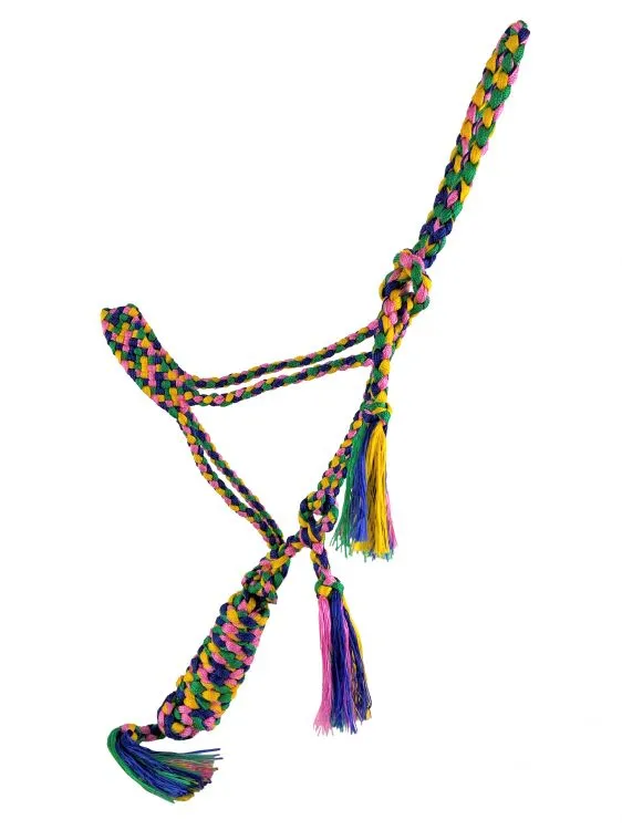 Woven Rainbow color nylon mule tape halter with removable lead
